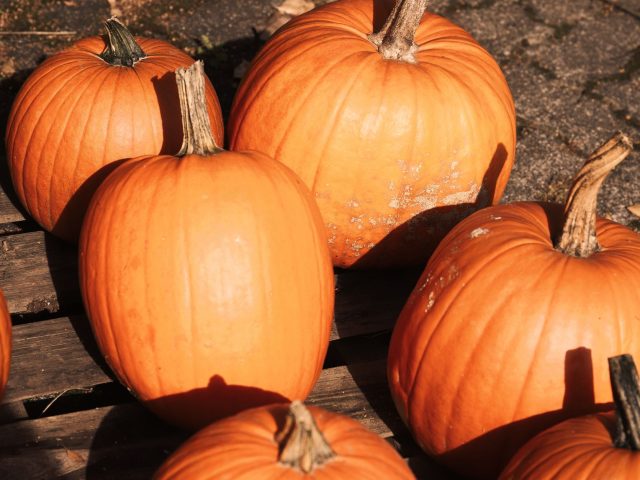 Pourquoi le potiron est-il l’atout santé économique de l’automne ?