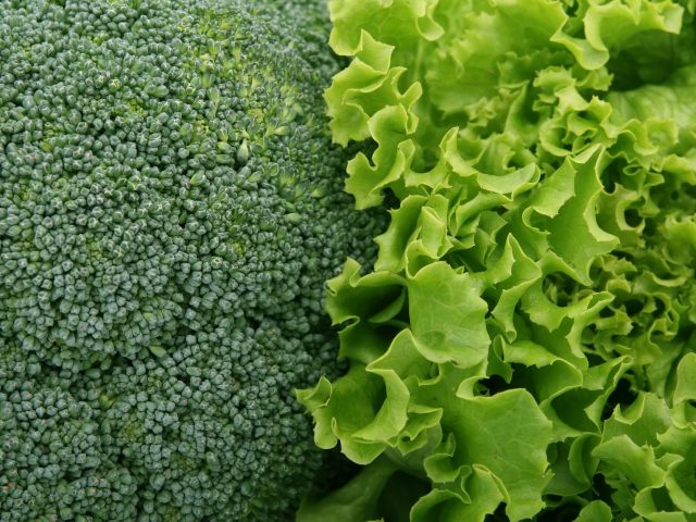 Ces légumes qui réduisent votre taux de sucre sans effort