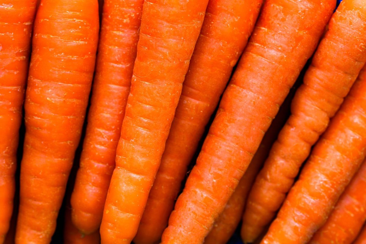 Une carotte crue par jour : le secret pour une digestion améliorée