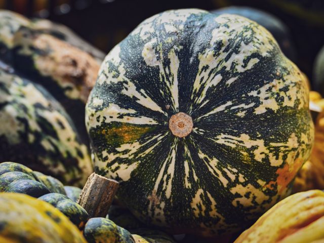 Les bienfaits des légumes d&rsquo;automne pour votre santé physique et mentale