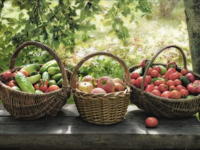 Quels légumes privilégier en septembre pour une alimentation saine ?